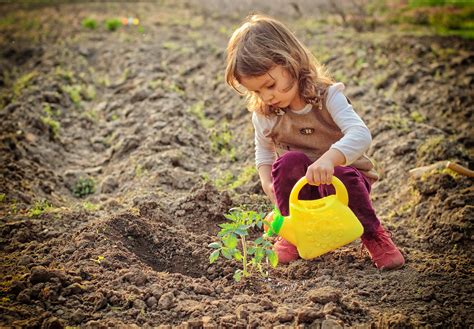 Want To Get The Kids In The Garden These Tips Will Get Them There