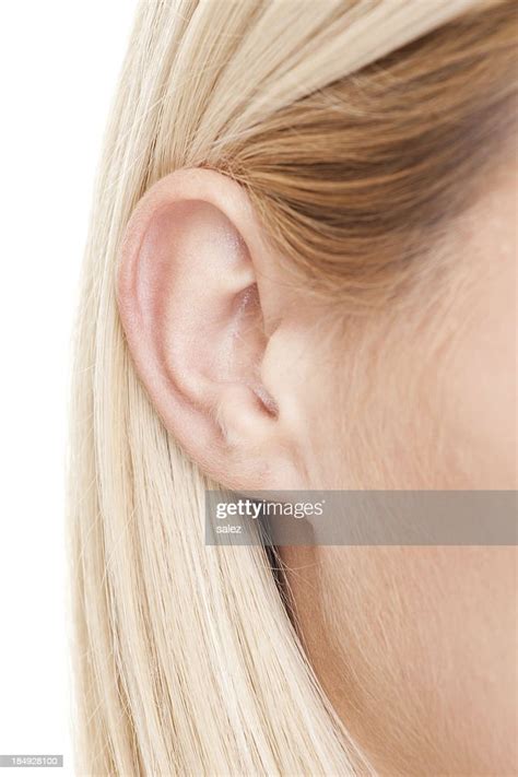 Human Ear High Res Stock Photo Getty Images
