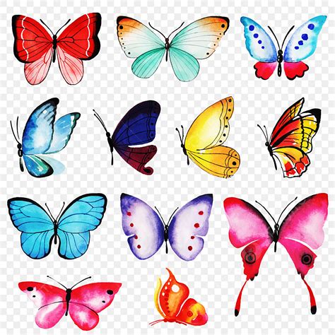 Watercolor Butterfly Clipart Transparent Png Hd Watercolor Butterflies