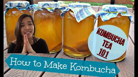 how to make kombucha tea kombucha tea 101 youtube