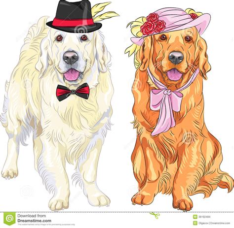 Vector Funny Pair Of Dogs Labrador Retriever Wearing Hats And Ti Stock