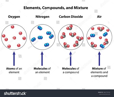 Compounds Compared Mixtures Visual Diagram Molecular Stock Vector