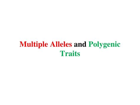Ppt Multiple Alleles And Polygenic Traits Powerpoint Presentation