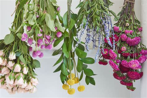 How To Harvest Dry And Store Flowers