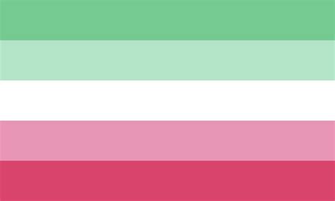 Lgbt Pride — Requiesexual Pride Flag Someone Who Is
