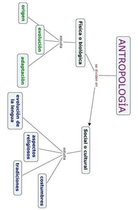 mapa conceptual de la división de la antropología de la relación de la antropología con otras