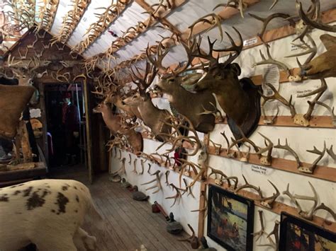 The Antler Sheds Largest Collection In The East
