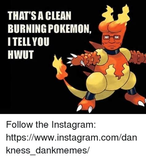 That Sa Clean Burning Pokemon I Tell You Hwut Follow The