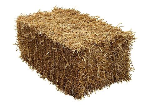 Straw Bales Out Of Stock Wynnes Of Dinmore