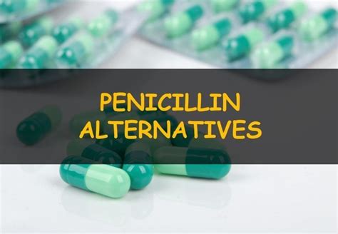 Allergy To Penicillin And Alternative Antibiotics Penicillin