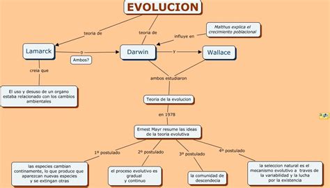 Evolucion Evolucion Teoria Evolutiva Teoría De Darwin