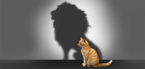 5 Simple Ways to Boost Your Confidence - The Art of Tall