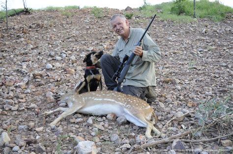 Inland Hunting Properties Chital Deer Hunting
