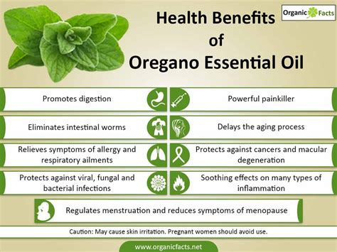 The Health Benefits Of Oregano Essential Oil Can Be Attributed To Its