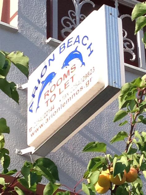 Τα limnos family studios, είναι πλήρως εξοπλισμένα αυτόνομα διαμερίσματα και βρίσκονται στις αγκαρυώνες της λήμνου, μόλις 2 χλμ. ARION APARTMENTS - ΜΠΑΒΕΑΣ ΘΕΟΔΩΡΟΣ | Νομός Λέσβου Topodigos