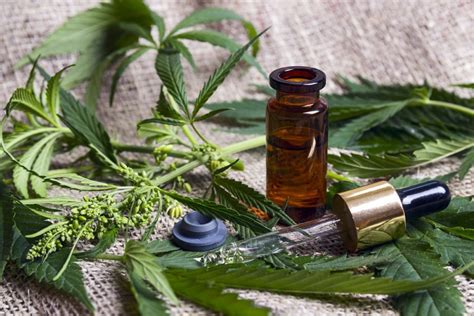 Los mejores aceites de CBD Daily CBD Español