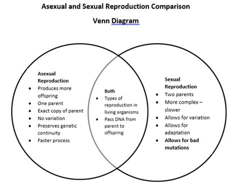 asexual and sexual reproduction venn diagram olgacambelle