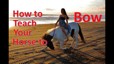 How To Teach Your Horse To Bow No Ropes Youtube