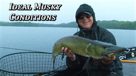 Musky Ideal Musky Conditions Youtube