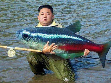 Cool Goby Blog Giant Neon Caught In Korea