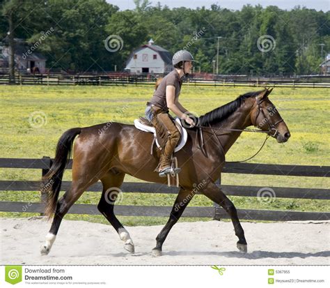 Young Lady Horseback Riding Stock Image Image Of Barn