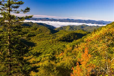 Fall Foliage 2021 Forecast And Guide Blue Ridge Mountain Life