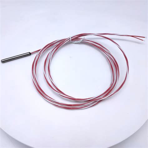 Pt100 Temperature Sensor 1m Rtd Cable Stainless Steel Probe 100mm 3