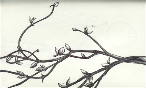 Flowers And Vines Drawing At Getdrawings Free Download