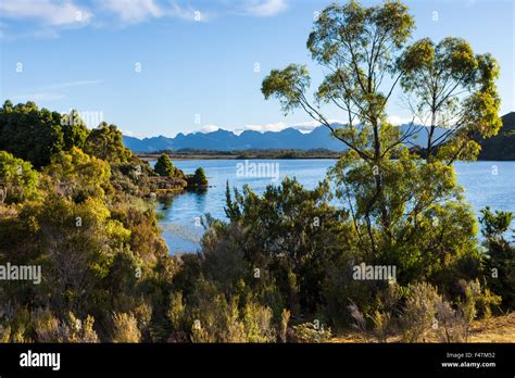 Lake Pedder Australia Tasmania Southwest National Park Lake Wood