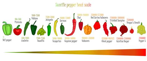 Scoville Heat Scale For Chili Peppers Poster Ubicaciondepersonas Cdmx Gob Mx
