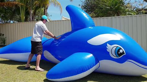5m Inflatable Blue Whale Short Ride Youtube