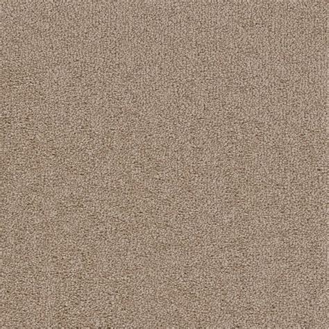 Beige Carpet Texture Ubicaciondepersonas Cdmx Gob Mx