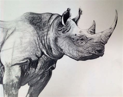 Roses come in an array of colors and styles, and can be included into different drawings to represent different meanings. Black rhino | Animal drawings, Rhino tattoo, Animal art