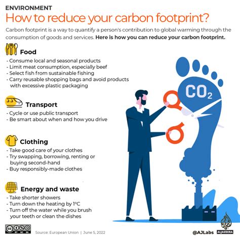 Infographic How Can You Reduce Your Carbon Footprint Infographic