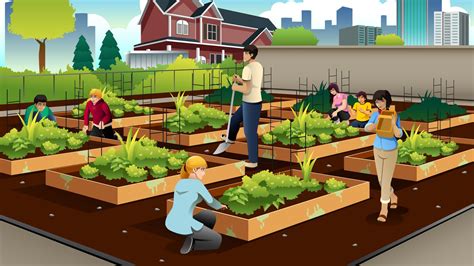 Sizes available in 5 sizes: The real value of urban farming. (Hint: It's not always ...