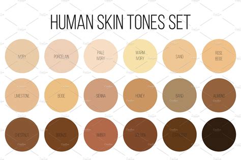 Human Skin Tone Color Palette Set Illustrations Creative Market
