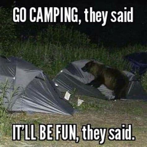 25 Best Camping Memes That Will Laugh Your Head Off
