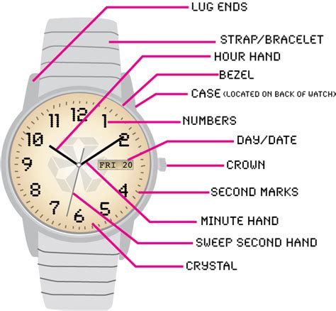 Wristwatch Diagram Watch Parts Identification