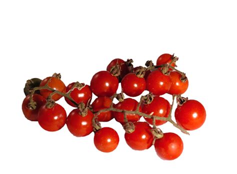 Tomato Varieties Finding The Right Heirloom Tomato Seeds Southern