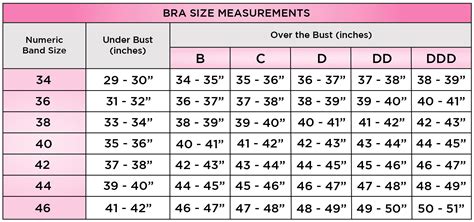 U S Bra Size Chart Bra Size Charts Bra Sizes Bra Chart Vlrengbr