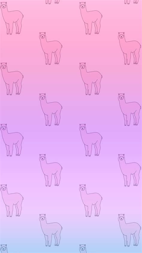 Pink Llama Wallpapers Wallpaper Cave