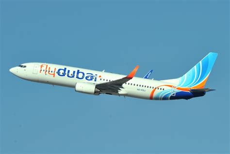 Flydubai Launches Animal Transport Service ǀ Air Cargo News