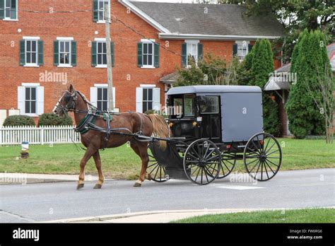 Amish Horse Drawn Carriage Stock Photo Alamy