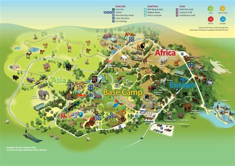 The chief of whipsnade zoo has said an 'immediate threat to human life' forced keepers to shoot dead two escaped brown bears amid backlash from animal lovers for not using tranquiliser darts instead. Map of ZSL Whipsnade Zoo | Zoological Society of London (ZSL)