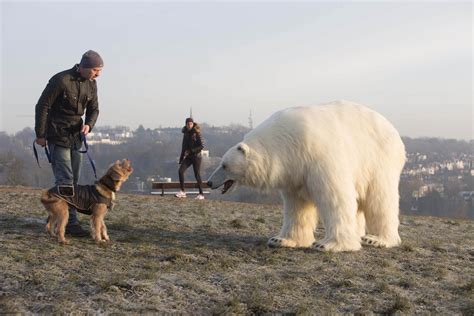 Giant Polar Bear Spotted In London But Theres No Need To Panic