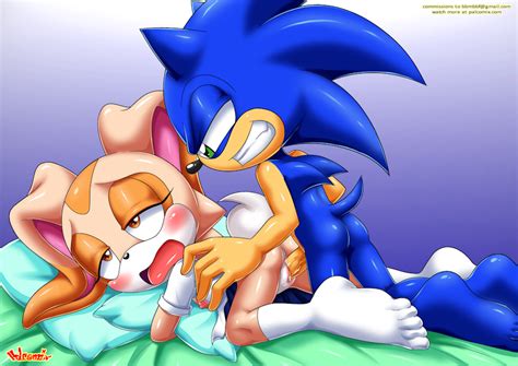 Rule 34 Blush Cream The Rabbit Female Male Mobius Unleashed Palcomix Sex Sonic Series Sonic