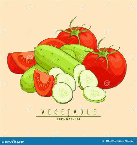 Pepinos Y Tomates Ilustración Del Vector Ilustración De Agricultura