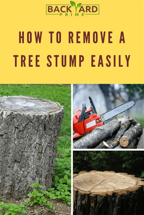 How To Remove A Tree Stump Easily Tree Stump How To Remove Stump