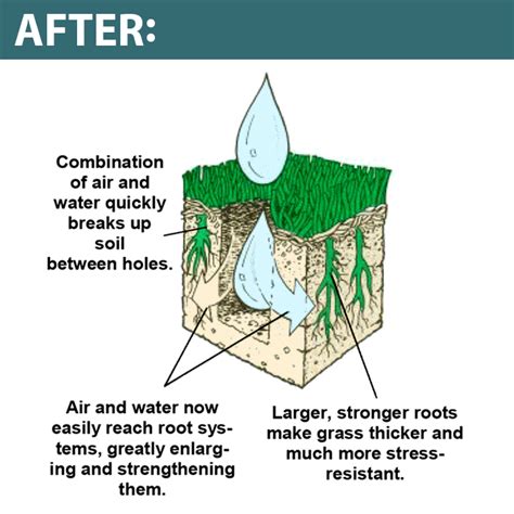 Overseeding is the seeding of your existing lawn with new. Lawn Core Aeration & Overseeding | H&G | Hertzler & George