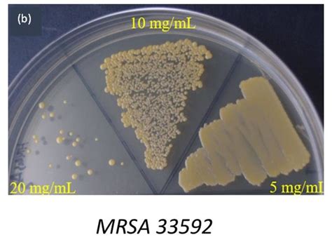 Microbiological Assay Of Ag180s Against Mrsa Atcc 33592 A